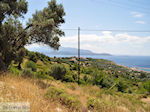 Landschap Pythagorion - Eiland Samos