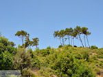 Groene natuur van Samos - Eiland Samos