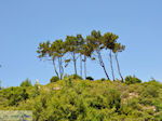 De groenrijke natuur op Samos - Eiland Samos