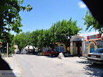 Taverna Votsalakia in Kampos - Eiland Samos