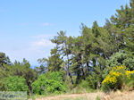 De natuur op de heuvels rond Karlovassi - Eiland Samos