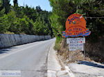Aan de provinciale weg in Lemonakia bij Kokkari- Eiland Samos