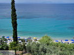 Olijfbomen aan strand Lemonakia bij Kokkari - Eiland Samos