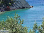 Olijfbomen tot aan de zee - Lemonakia bij Kokkari- Eiland Samos
